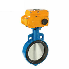 電動(dòng)襯膠蝶閥